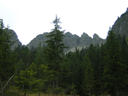 10ein-Blick-zurueck