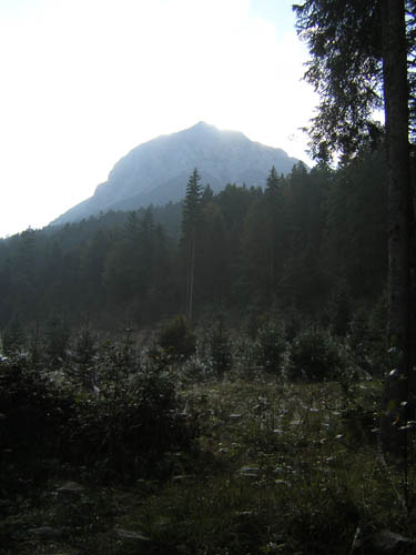 01DerGuffert-am-Morgen