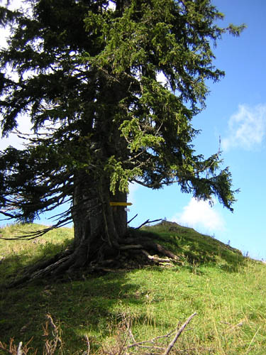 05Shneidjoch