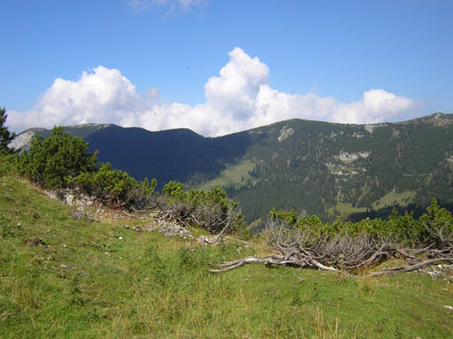 06DieBlauberge