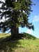 05Shneidjoch