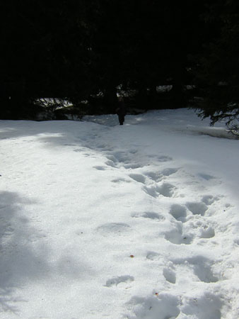 04durch-tiefen-Schnee