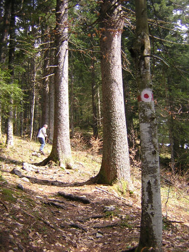 01Weg-nach-MariaEck