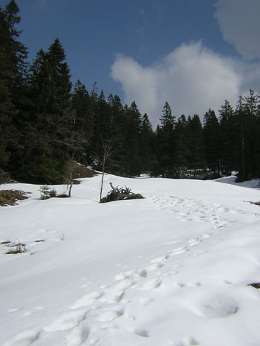 03Blick-nach-vorn