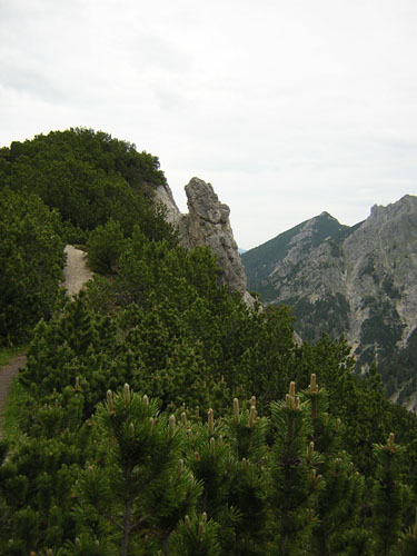 26der-Weg-nach-Kruen