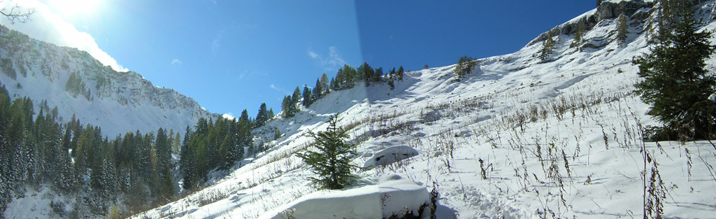 02Unterhalb-der-Alm