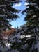 01Bergwald
