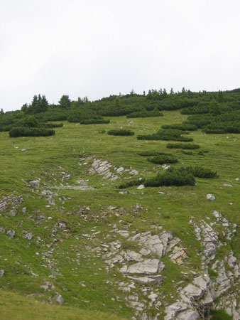 05Gipfelanstieg