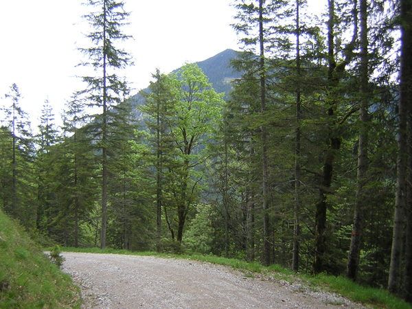 01Soiernweg