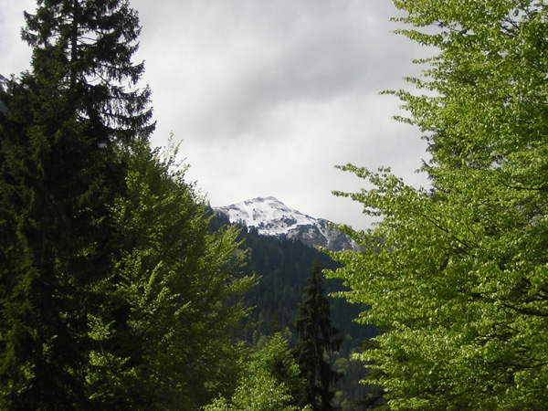 02Soiernspitze