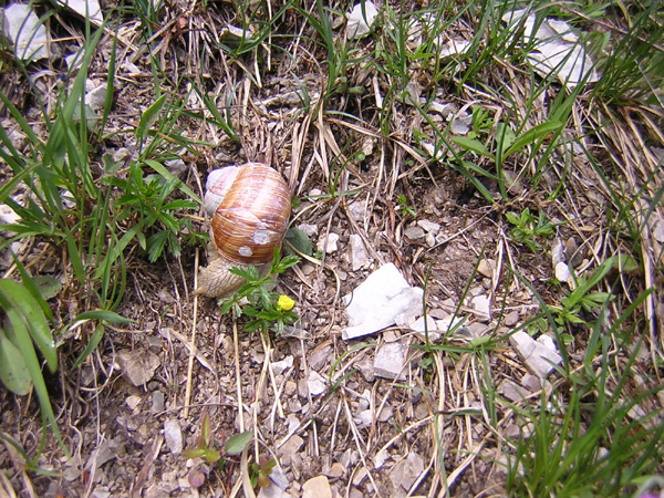 13die-Gerettete