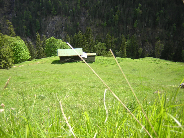 14Bruenstalm