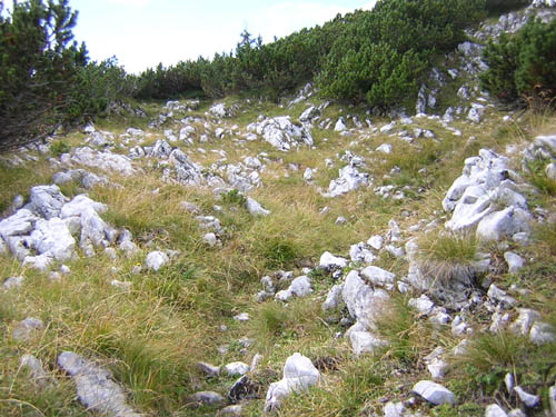 07Der-Weg-zum-StanserJoch
