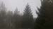 08lichter_nebel