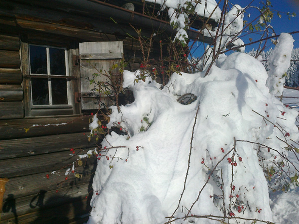 06SchwaigerAlm