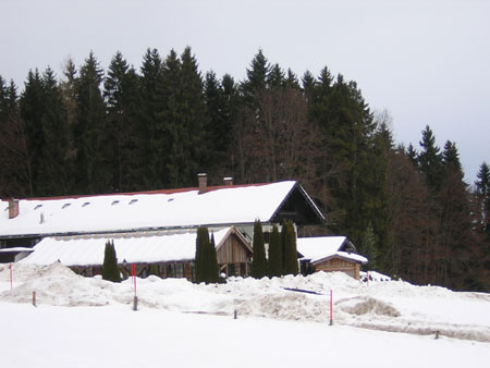 02Freihaus