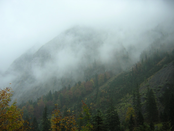 13Tortal