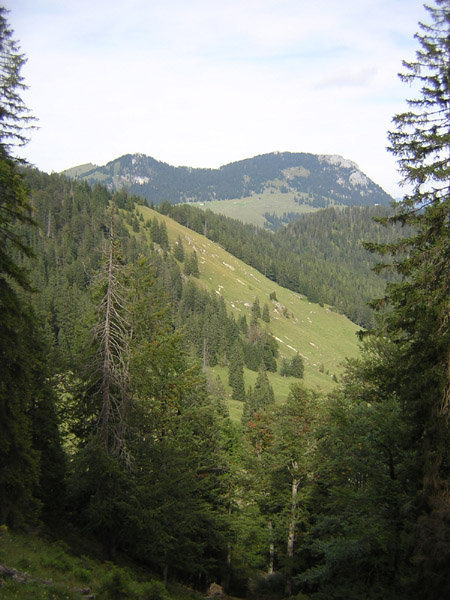 15Bruennstein