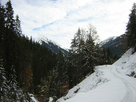 01ForstwegZurFereinAlm