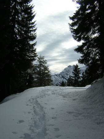 03auf1400mHoehe