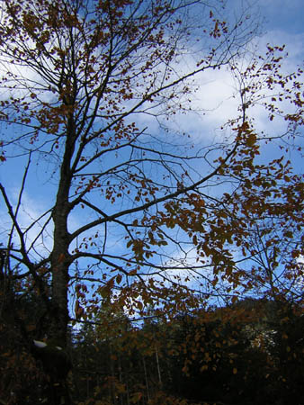 09Foehnstimmung