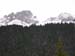 04Torkopf