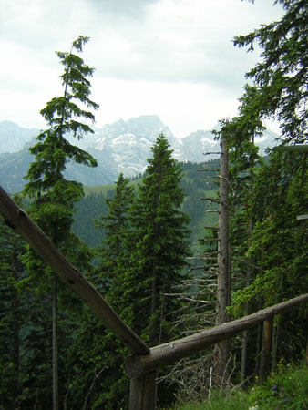 01an-der-Jagdhuette