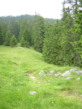 02Sattelalm