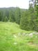 02Sattelalm