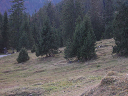 11beim-Gschwandtner