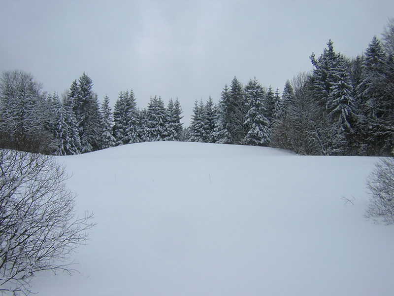 15beimKogl.JPG