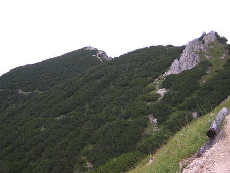 07Steinkarlkopf