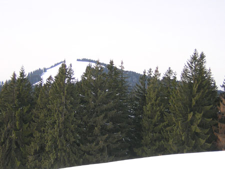 02Blick-vom-Heigelkopf-zum-Zwiesel
