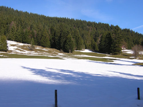 01Almenweg